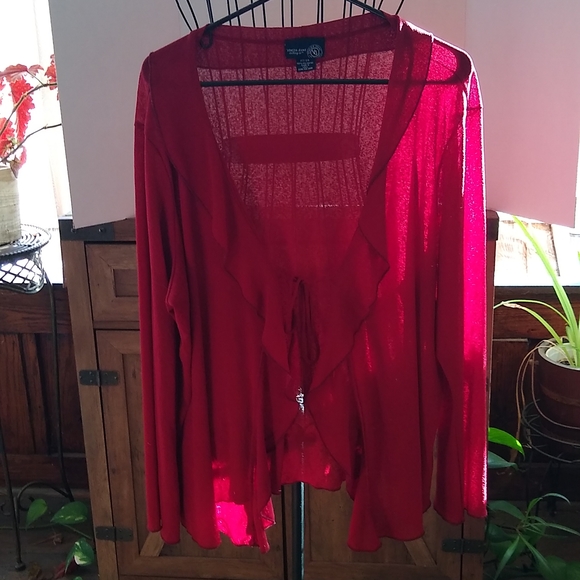 Venezia Jeans Clothing Co. Maroon Ruffled Sheer Blouse Cover - Picture 1 of 3